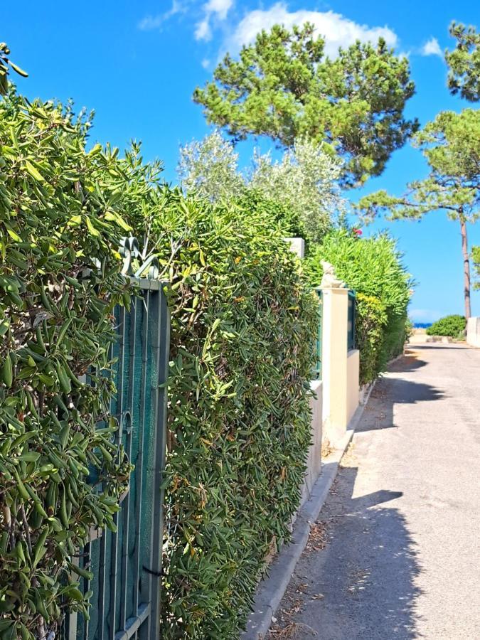 Mini Villa Jardin 50 M Plage Борґо Екстер'єр фото