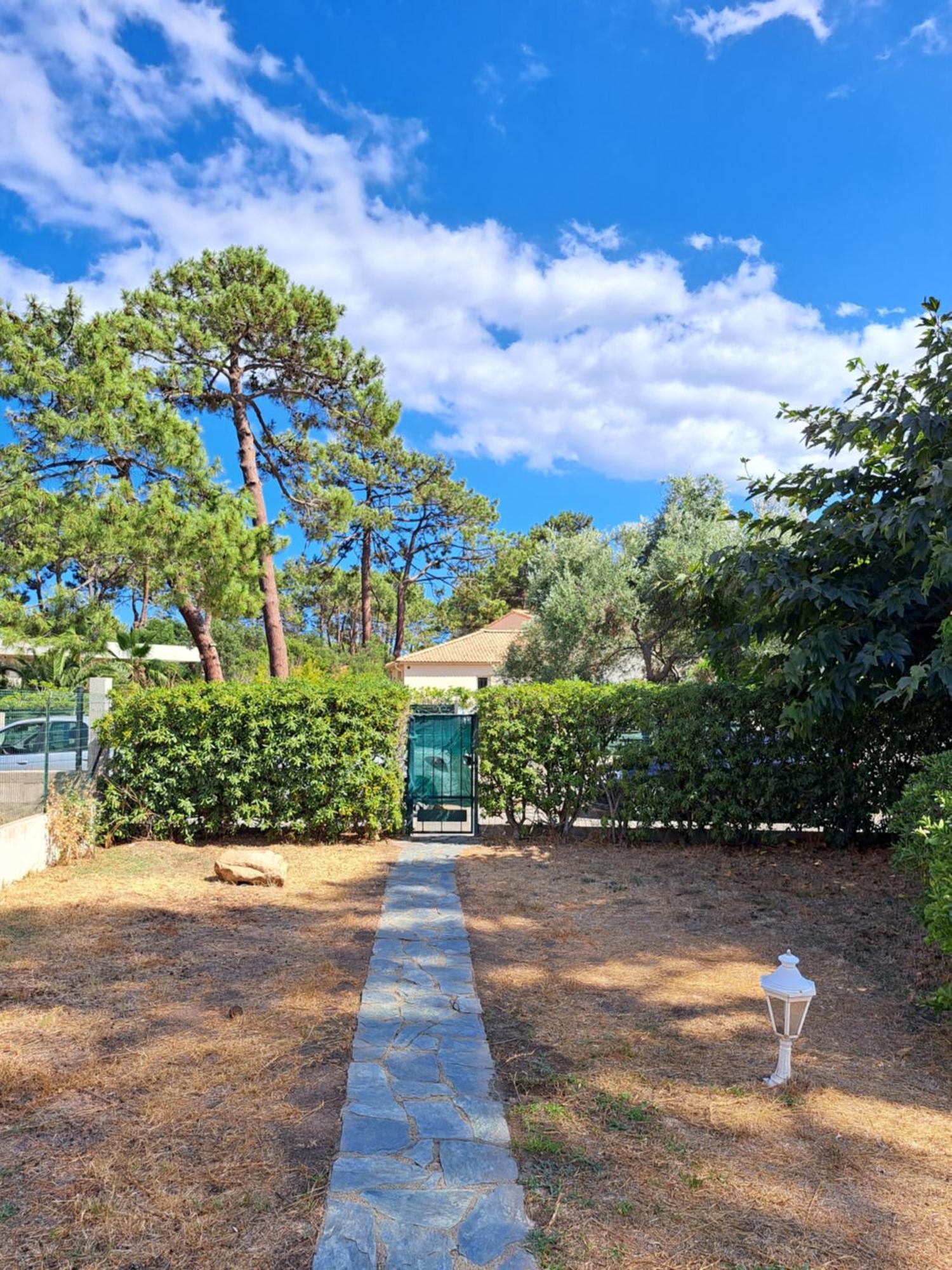 Mini Villa Jardin 50 M Plage Борґо Екстер'єр фото