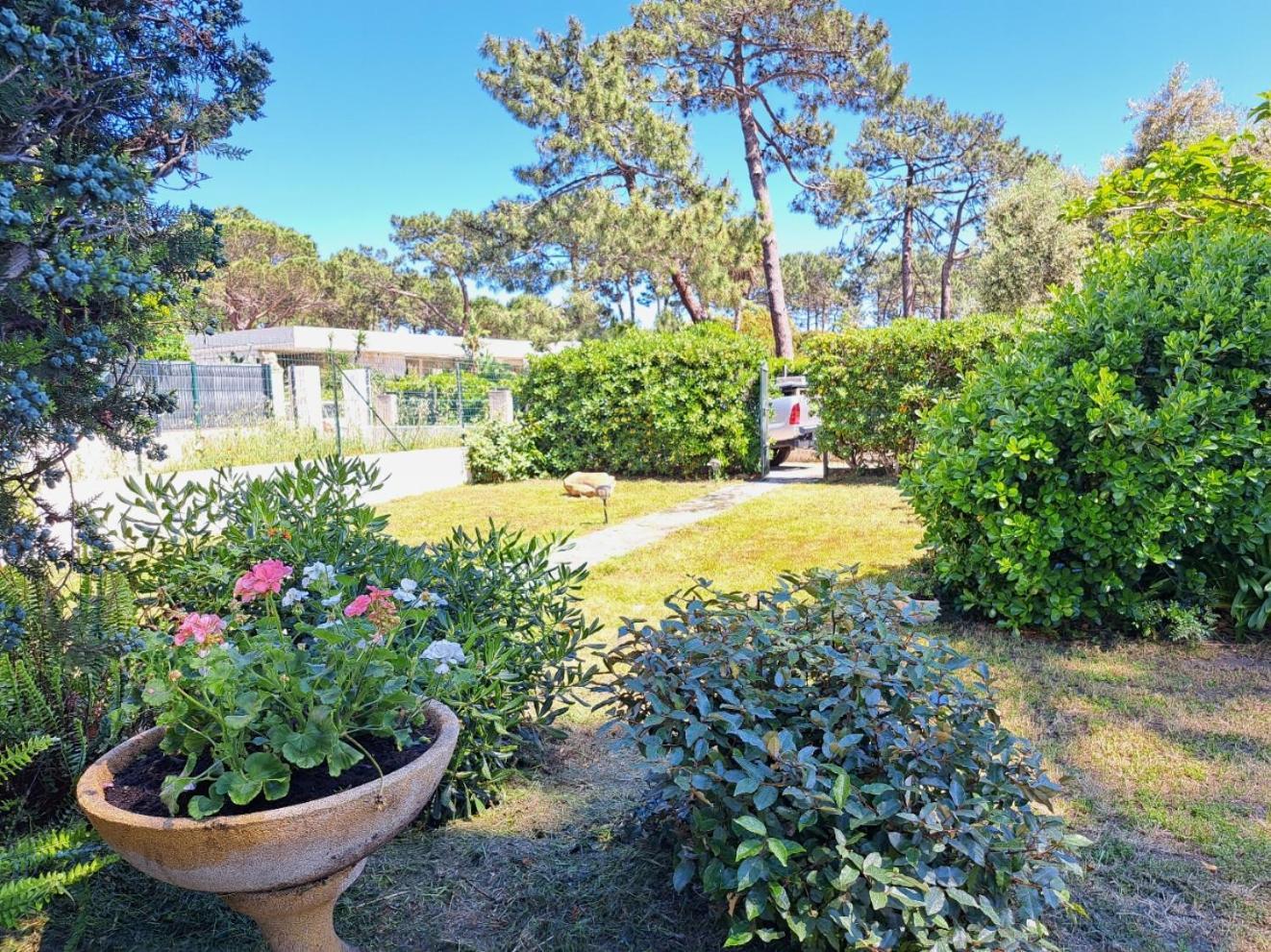 Mini Villa Jardin 50 M Plage Борґо Екстер'єр фото